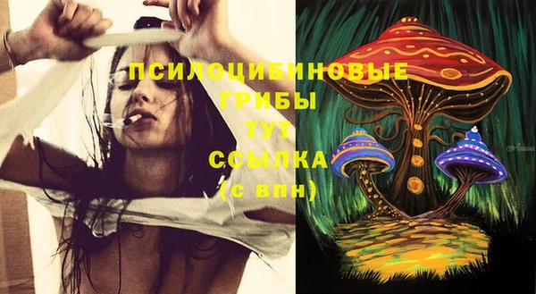 метамфетамин Каменка