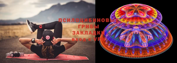 мдпв Инта